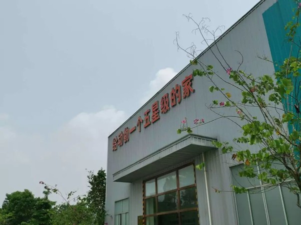 图6
