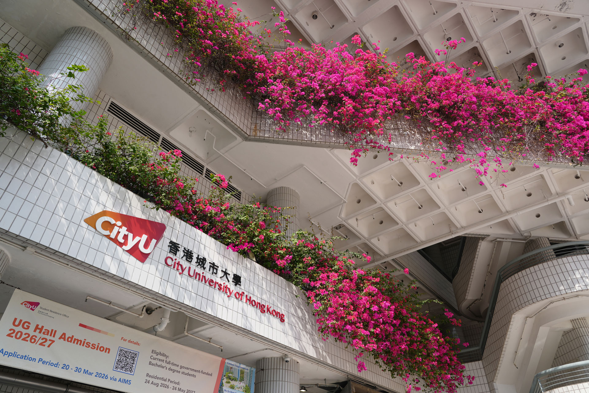 Weixin Image_20260804101540_465_10